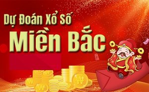 Dự đoán lô đẹp nhất 11/3